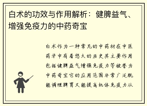 白术的功效与作用解析：健脾益气、增强免疫力的中药奇宝