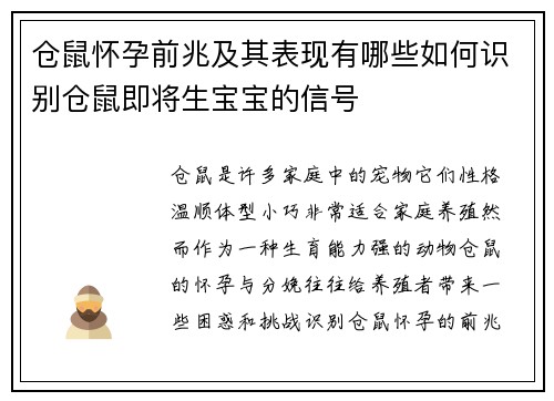仓鼠怀孕前兆及其表现有哪些如何识别仓鼠即将生宝宝的信号